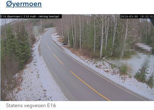 skjermbilde_2026-03-30_kl._10.32.57.png